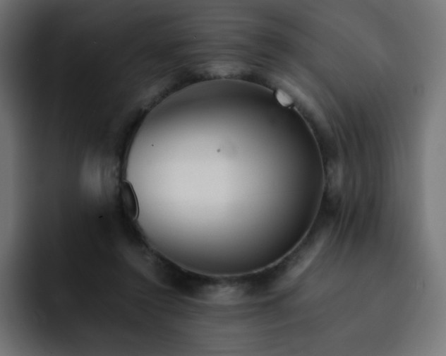 X0000093120356200710031338