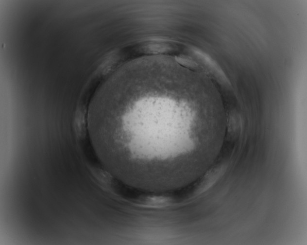 X0000093120360200710031338