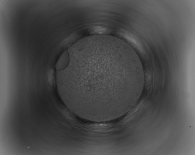 X0000093120361200710031338
