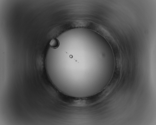 X0000093120362200710031338