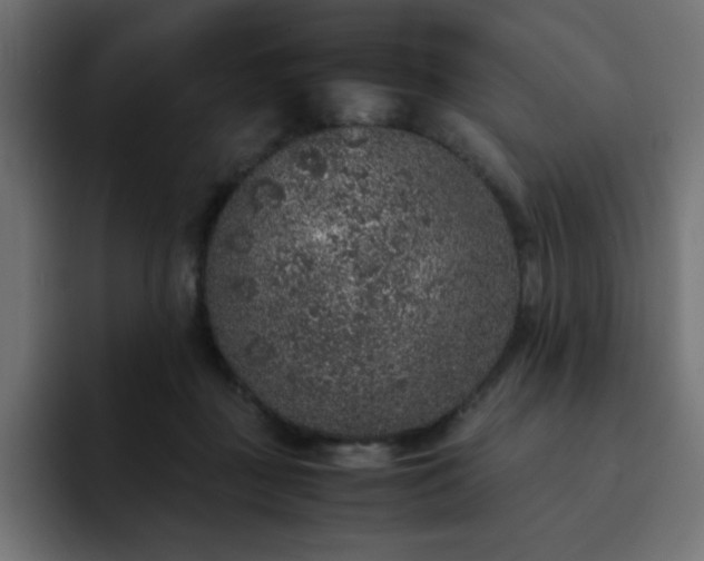X0000093120363200710031338
