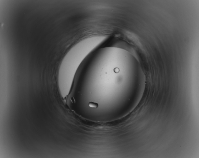 X0000093120364200710031338