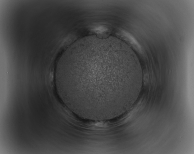 X0000093120365200710031338