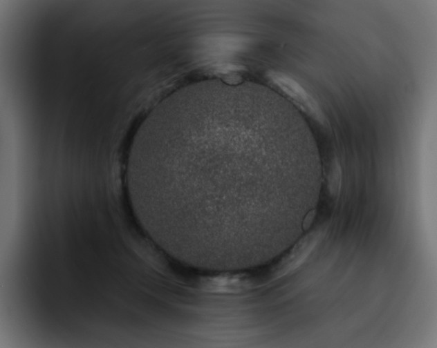 X0000093120366200710031338