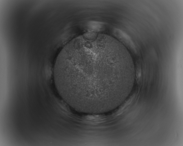 X0000093120367200710031338