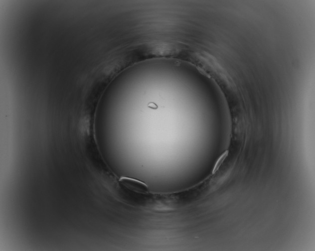 X0000093120368200710031338