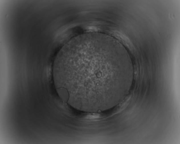 X0000093120369200710031338