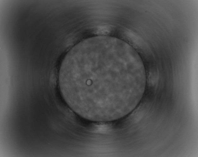 X0000093120370200710031338