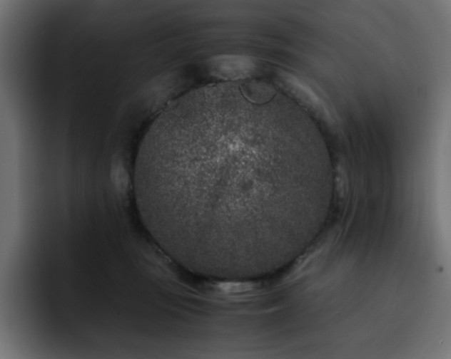 X0000093120371200710031338
