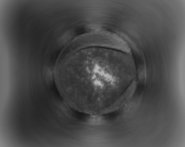 X0000093120376200710031338