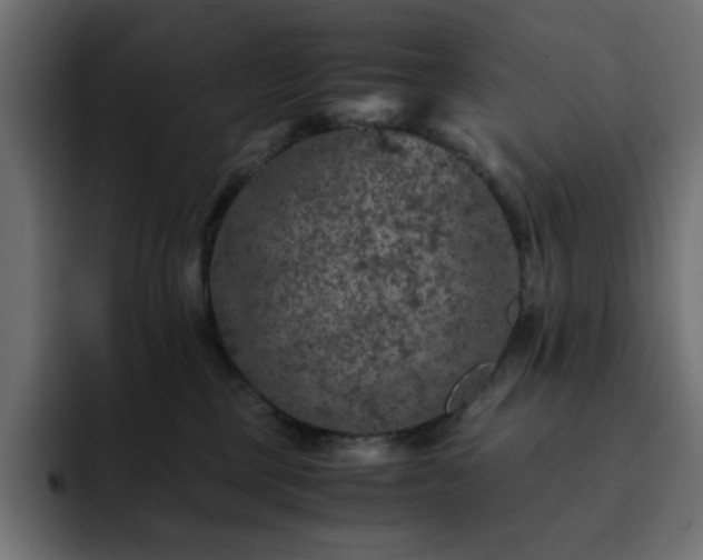 X0000093120377200710031338
