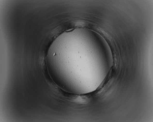 X0000093120379200710031338
