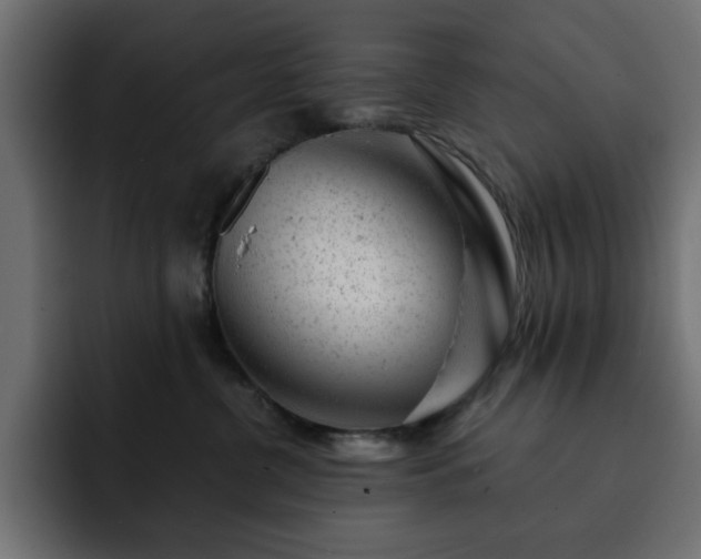 X0000093120380200710031338