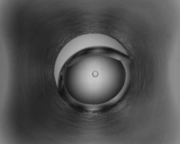 X0000093120384200710031338
