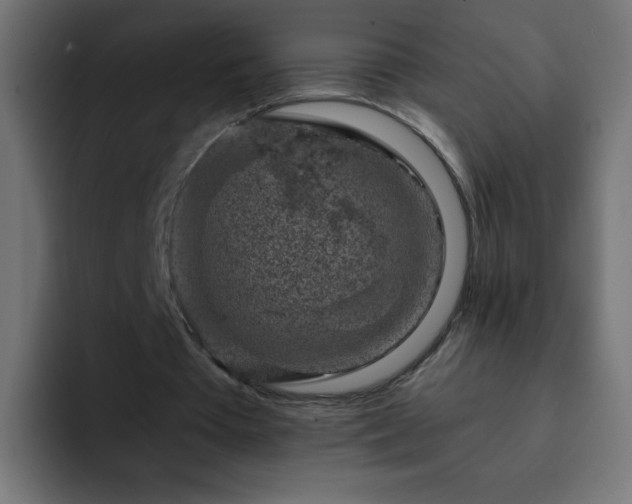 X0000093120385200710031338