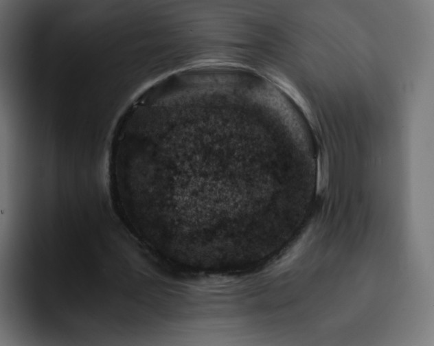 X0000093120387200710031338