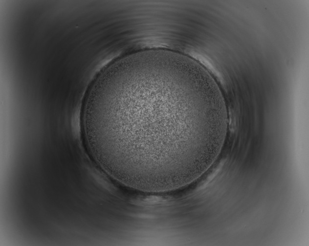 X0000093120390200710031338