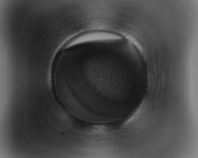 X0000093120391200710031338