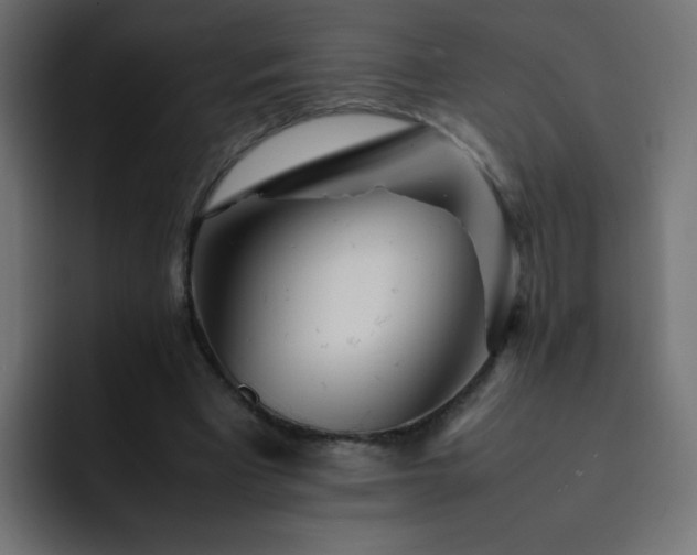 X0000093120393200710031338