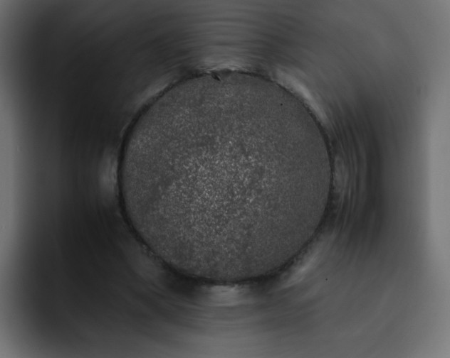 X0000093120394200710031337