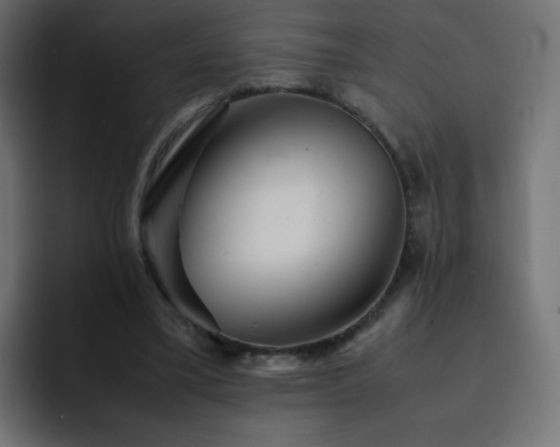 X0000093120395200710031337