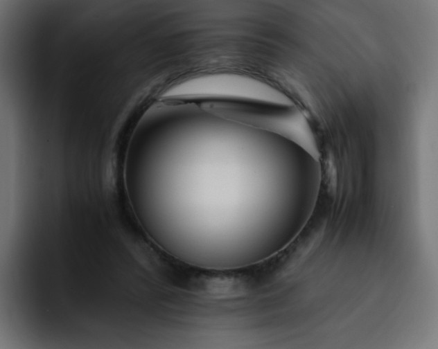 X0000093120400200710031337
