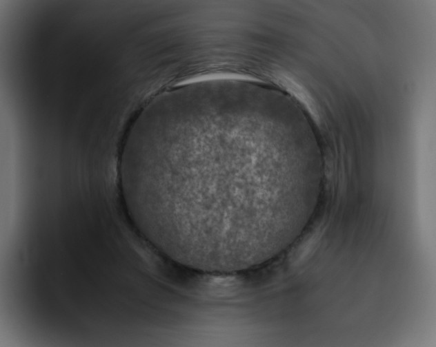 X0000093120401200710031337