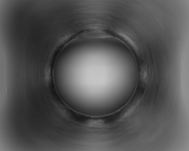X0000093120403200710031337