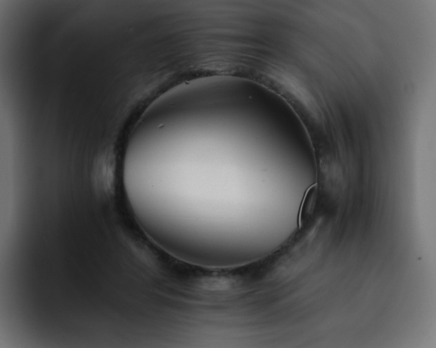 X0000093120404200710031337