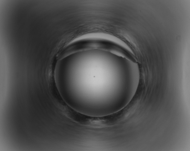 X0000093120407200710031337