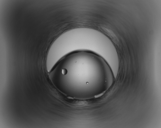 X0000093120409200710031337