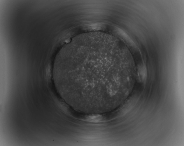 X0000093120410200710031337