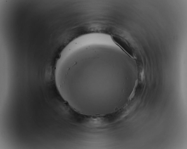 X0000093120411200710031337