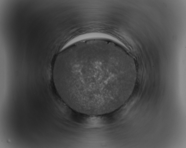 X0000093120413200710031337