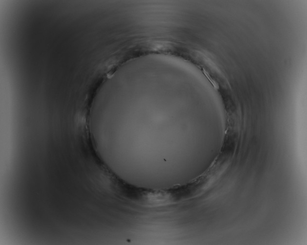 X0000093120415200710031337