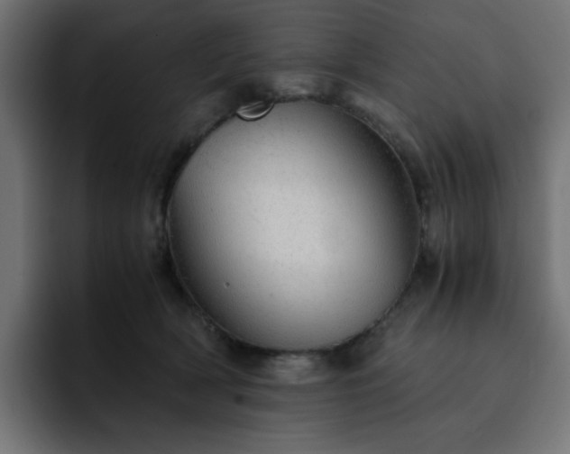 X0000093120418200710031337