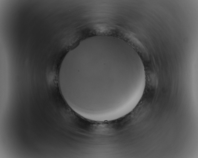 X0000093120419200710031337