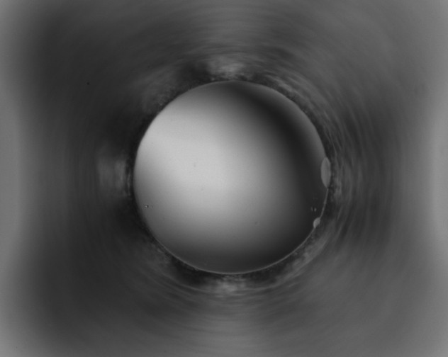 X0000093120420200710031337