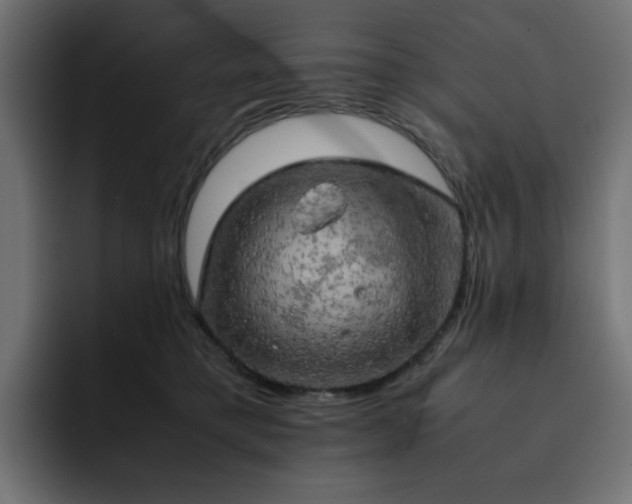 X0000093120421200710031337