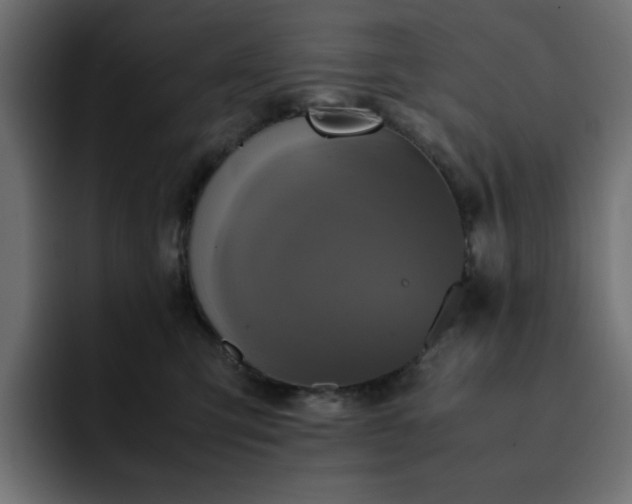 X0000093120423200710031337