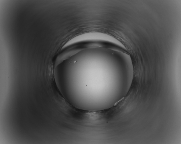 X0000093120425200710031337