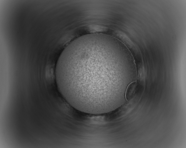 X0000093120426200710031337