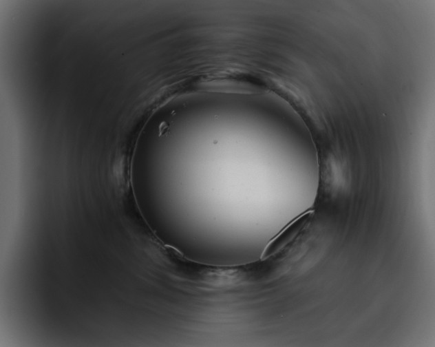 X0000093120428200710031337