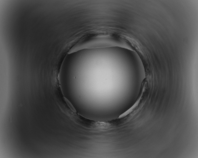X0000093120429200710031337