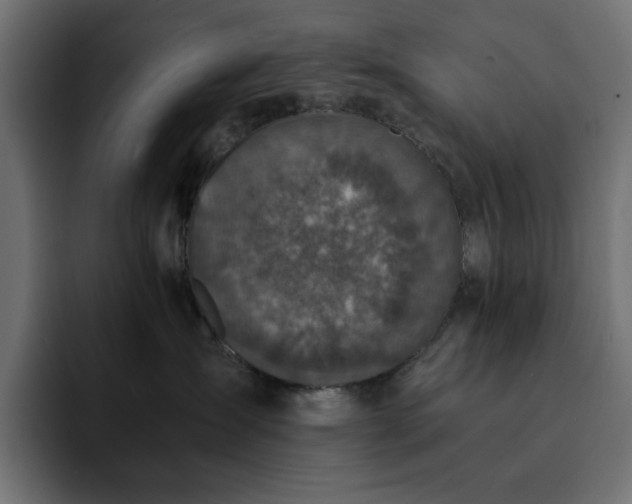 X0000093120431200710031337