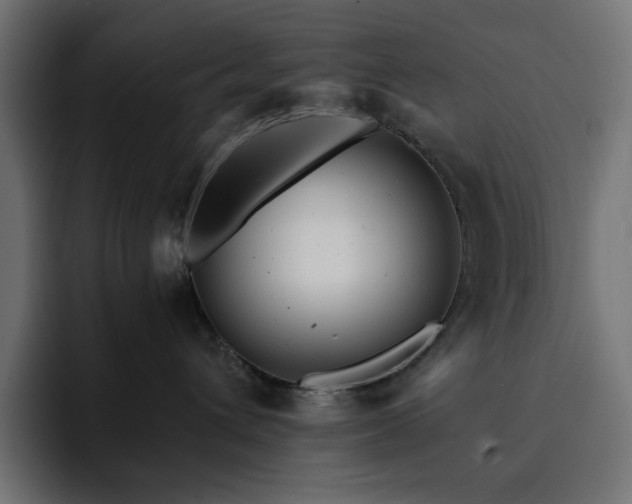 X0000093120432200710031337