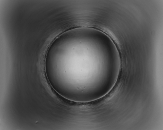 X0000093120433200710031337