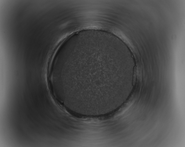 X0000093120434200710031337
