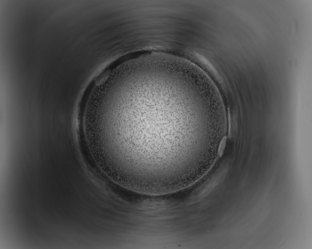 X0000093120435200710031337