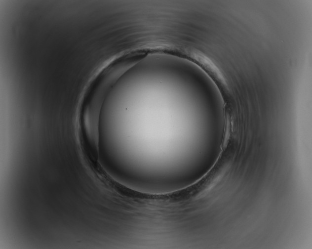 X0000093120436200710031337